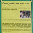 Sochy v galerii jsou zhotoveny starou technologi� ztu�en�ho mramoru