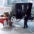 Na�e expozice :  AUTOSALON  -  FLORA  OLOMOUC